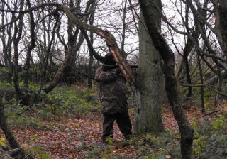  从树后瞄准对手的玩家
